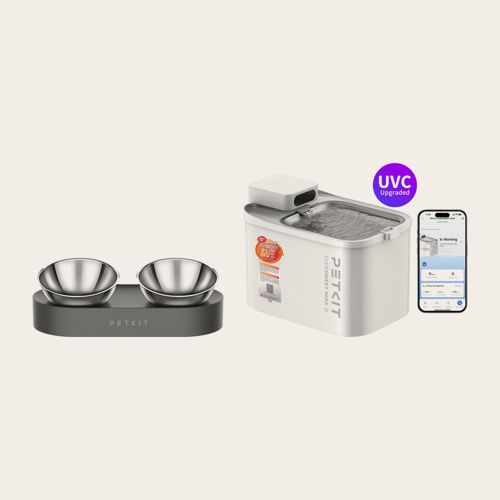 PETKIT bowl set and water fountain