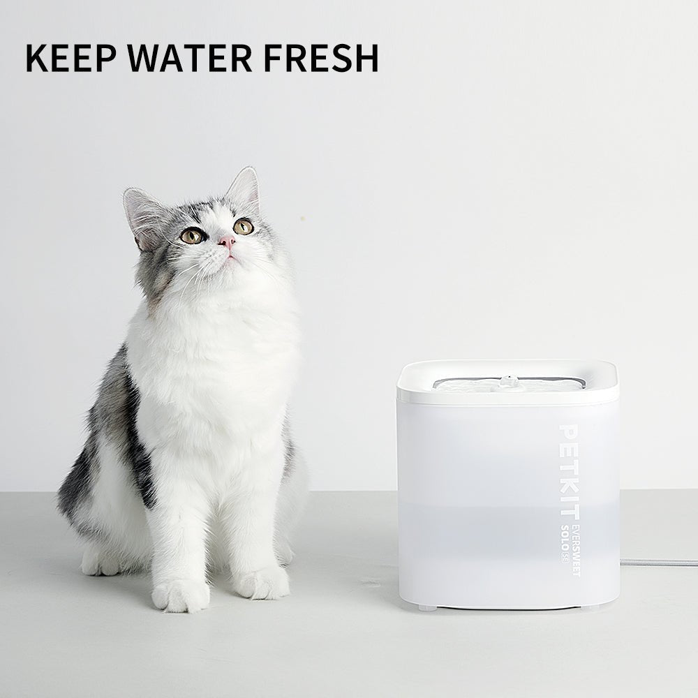 Cat drinking from the Eversweet Solo SE
